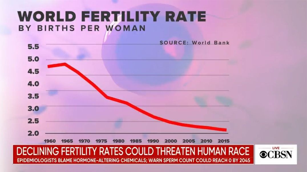 Declining fertility rates could threaten Human Race